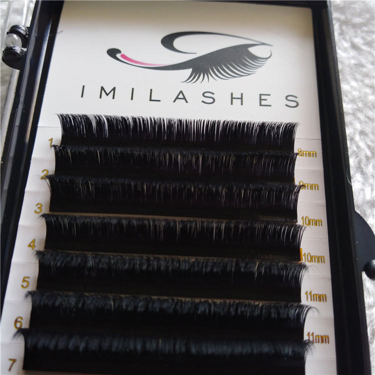 Professional eyelash extensions manufacturer lashes supply-V